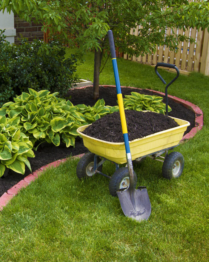 Garden Restoration Melbourne